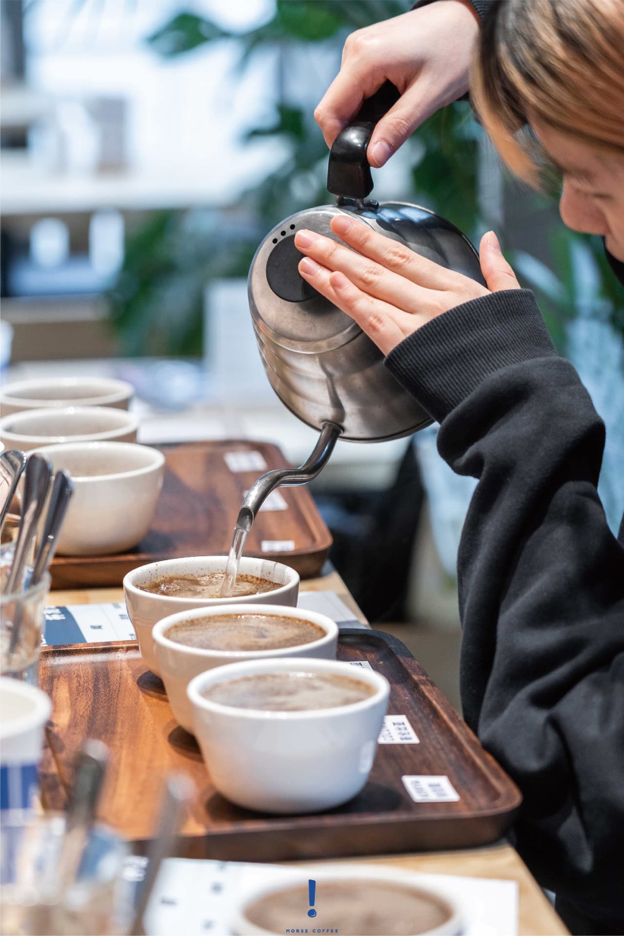 A kettle pouring hot water across cupping bowls in Morse Coffee's quality-control lab.